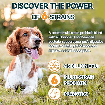 Probiotics for Dogs, Dog Probiotics for Yeast, Itchy Skin and Itchy Ears, Allergies, Immunity, Dog Gut Health Probiotic for Digestive Enzymes & Prebiotics for Diarrhea & Gas Relief (Chicken, 200 Chew)