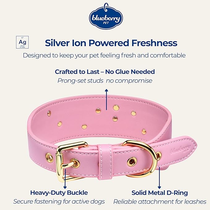 Blueberry Pet Premium Embossed Pink Glam Silver-Powered Freshness Microfiber Leather Dog Collar with Gold Studs