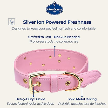 Blueberry Pet Premium Embossed Pink Glam Silver-Powered Freshness Microfiber Leather Dog Collar with Gold Studs