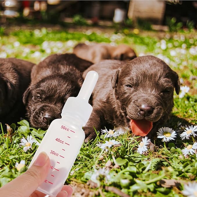 balacoo Small Pet Accessory Pet Milk Bottle Set 3pcs Plastic Milk Bottles Lightweight Compact for Puppy