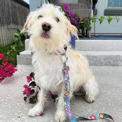 Lucky Love Dog - Adjustable Dog Collar and Leash Set with Easy Click Buckle for Large Ones, Durable, & Comfortable Collar for Male & Female Dogs, Puppies & Adult Dogs - Caroline, XL
