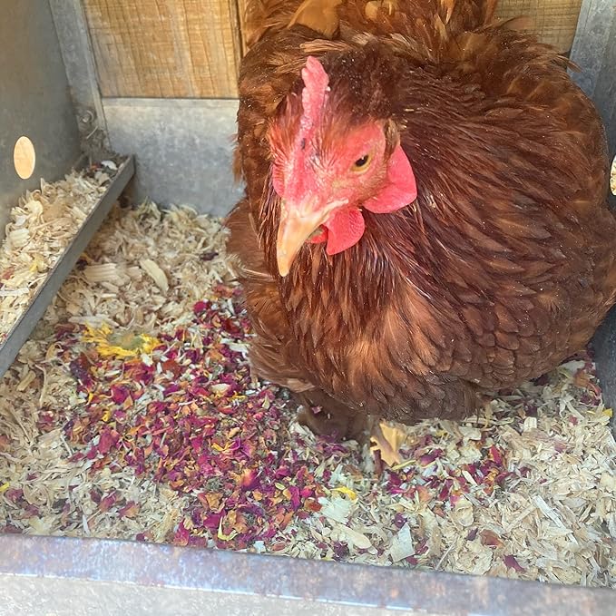WormBGone Premium Backyard Chicken Nesting Herbs & Coop Herbs (4.5 Pound)