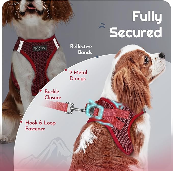 Eagloo Small Dog Harness and Leash Set, Step in Puppy Vest with Breathable Soft Mesh, Walking Reflective Pet Harness for Small Dogs, Red, XS