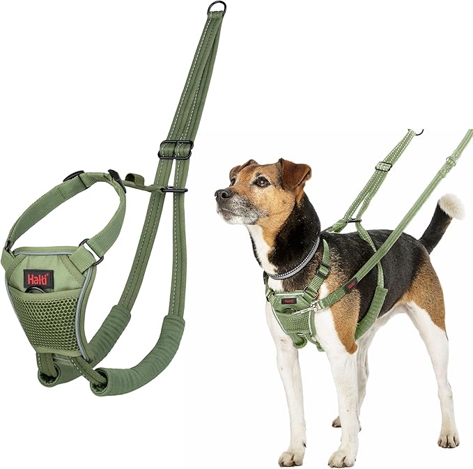 Halti No Pull Harness - Stop Your Dog Pulling on The Leash. Adjustable, Lightweight and Easy to Use. Reflective Dog Training Harness for Toy and Small Dogs (Size XS, Forest Green)