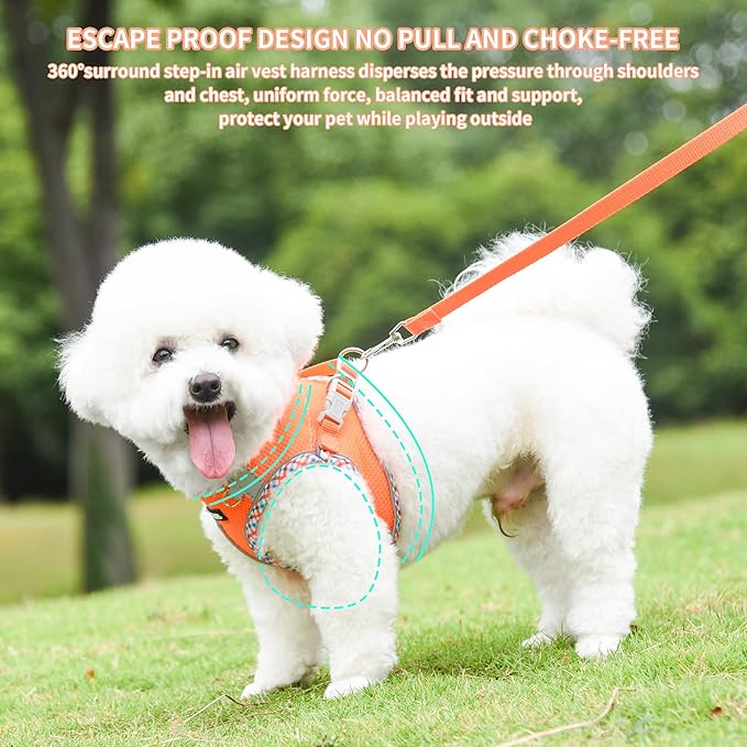 AIITLE Dog Harness and Leash Set - Ultra-Comfortable XXS-XL Vest with Strong Magic Tape & Glow-in-Dark Reflective Strips, Chafe-Free for Teddy, Schnauzer (Orange, M)