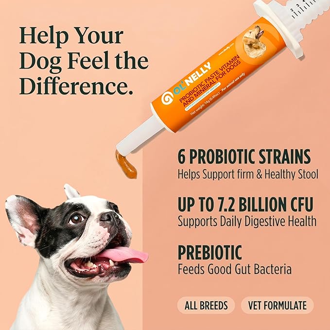 OL’ NELLY Dog Probiotic Paste for Dogs & Cats – Helps with Diarrhea, Gas & Loose Stool, Digestive Support, 6-Strain Probiotics + Prebiotic, Vitamin E & Selenium, Supports Immunity & Skin, 14g