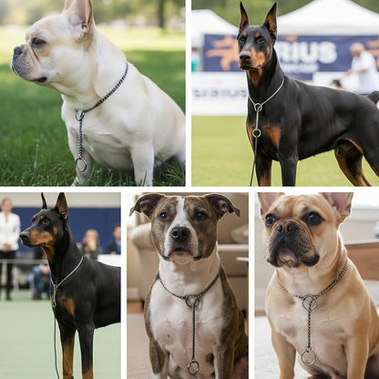 Dog P Snake Chain Chrome Plated Metal Dog Training Choke/Collar-Fully Guaranteed Against Rust Tarnish or Breakage-Recommended for Professional Training (Golden, 5mm * 26")