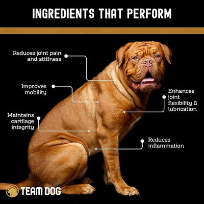 TEAM DOG Hip and Joint Chews for Dogs | Arthritis & Joint Support Supplements for Dogs | MSM, Chondroitin & Glucosamine | Small, Medium & Large Breed | Chicken, Duck & Pea Flavor | 120 Count