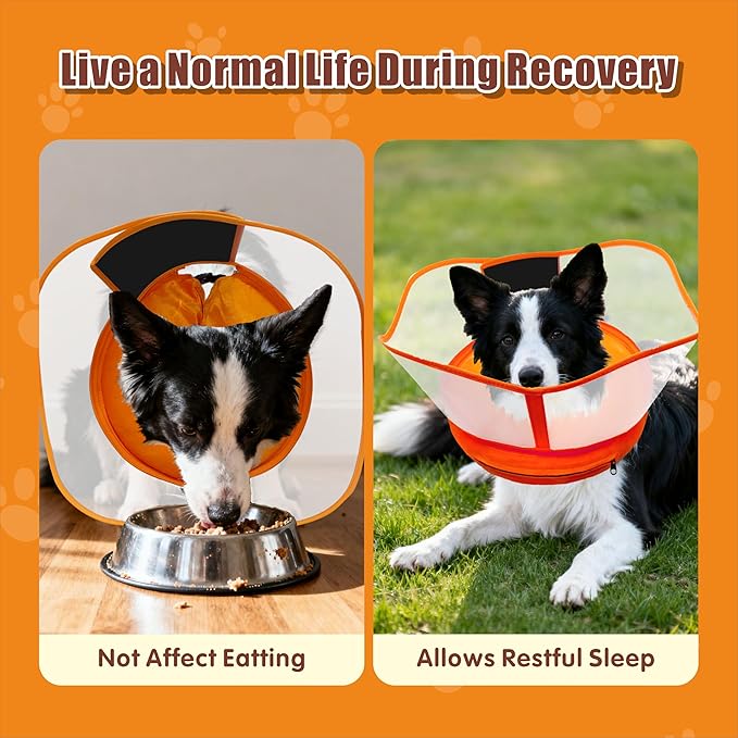 Inflatable Dog Cone with Transparent Shield, Protective Dog Donut Collar After Surgery Soft Donut Cone for Dogs, Orange, XL