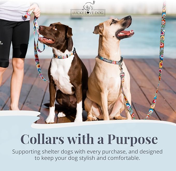 Lucky Love Dog - Adjustable Dog Collar with Easy Click Buckle for Large Ones, Durable, & Comfortable for Male & Female Dogs, Pet Collar for Puppies & Adult Dogs - Blackbird, Large
