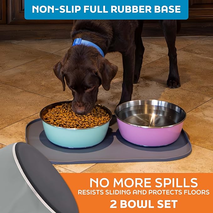 Master Pet Supply Stainless Steel Dog Bowls Set of 2 (128 Oz Each) with Non-Slip Rubber Base - Graphite - Basic Dog Food Bowl Water & Food Bowls for Small Medium Large Dogs & Cats, Metal Dish