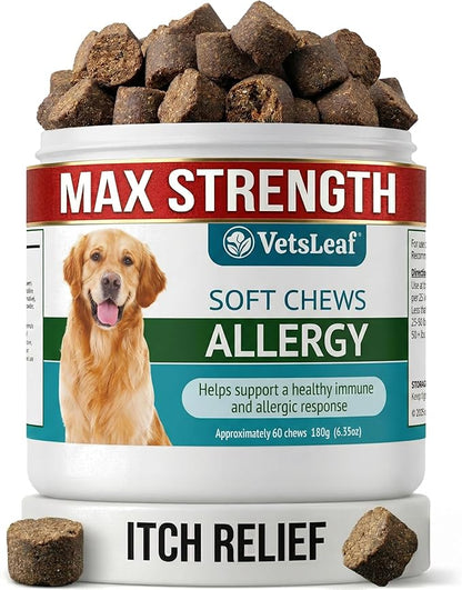 Allergy Relief Dog Chews – Quercetin, Turmeric, Ashwagandha, Probiotics & Colostrum – Seasonal Allergy, Immune & Digestive Support – for Itchy Skin & Hot Spots – All Breeds & Sizes