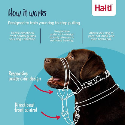 Halti Headcollar - Stop Your Dog Pulling on the Leash. Adjustable, Reflective and Lightweight, with Padded Nose Band. Dog Training Anti-Pull Collar for Small Dogs (Size 1, Red)
