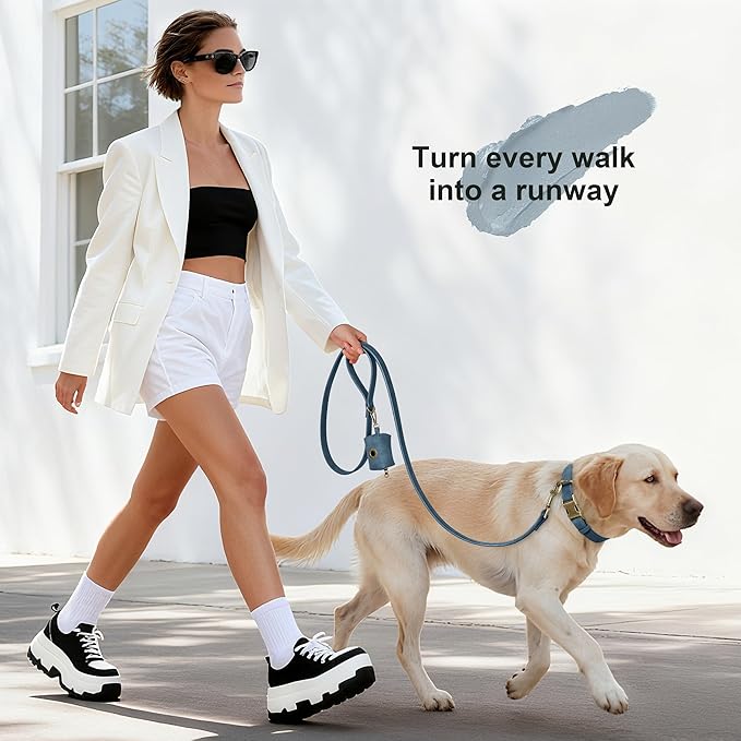 Didog Soft PU Leather Dog Collar, Stylish Quick Released Dog Collar for Large Dogs, Easy Clean Adjustable Pet Collar for Daily Walking, Blue, L Fit 16-22" Neck