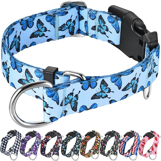 Martingale Collar for Dogs with Buckle Nylon Slip No Pull Training Dog Collars (Blue Butterfly, XLarge)