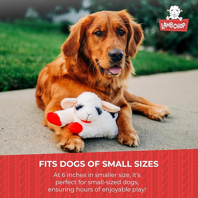 Multipet Lamb Chop Dog Plush Toy - Squeaky Toy for All Dogs - Extra Soft Plush - Stuffed Animal Dog-Toy for Cuddling & Playing - Cute Pet-Toy (6",Cream),(Pack of 3)