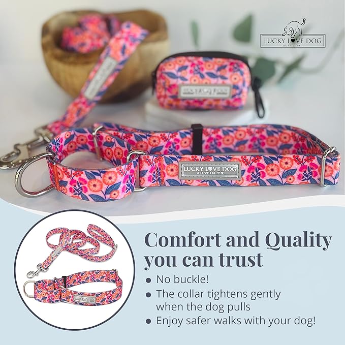 Lucky Love Dog Martingale Dog Collar & Leash - Adjustable, No-Slip, Durable, Comfortable, Soft Webbing, & Stylish Patterned Collar & Leash Set for Male and Female Dogs - Rosie Combo, Large