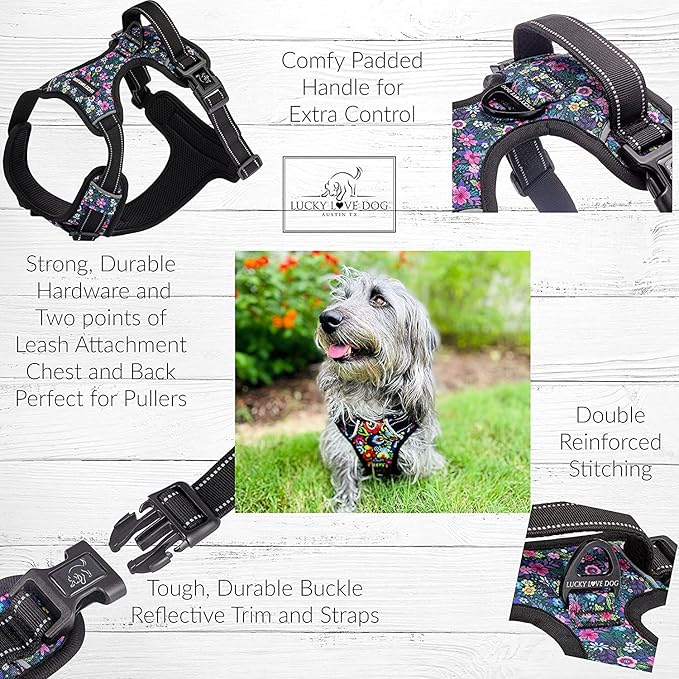 Lucky Love Dog No Pull Dog Harness, Adjustable and Easy to Walk, Cute Patterned Harness for SmallMale & Female Dogs - Primrose, Small