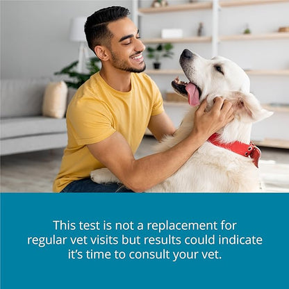 Petivity At-Home Kidney Health Test Kit for Dogs — Quick Saliva Urea Test (2-Minute Home Check), Powered by Purina — Help Detect Early Kidney Changes - (Pack of 1)