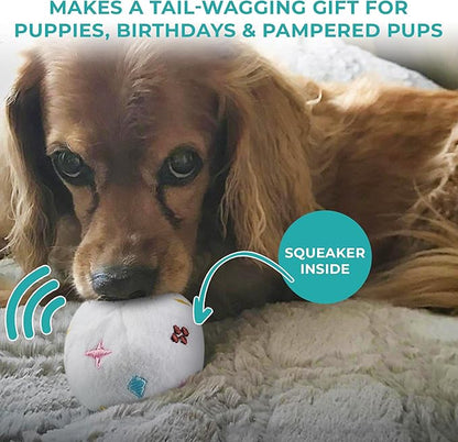 Haute Diggity Dog Chewy Vuiton Trunk Puzzle with 3 Plush Squeaky Dog Toys, Soft Durable Designer-Inspired Stuffed Puppy Chew Toys for Small & Medium Dogs, Machine-Washable (White) One Size