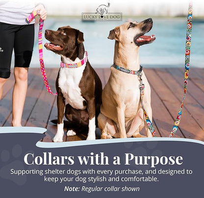 Lucky Love Dog Martingale Dog Collar - Adjustable, No-Slip, Durable, & Soft Webbing Collar for Male and Female Dogs Ideal for Training & Walking - Molly, Medium