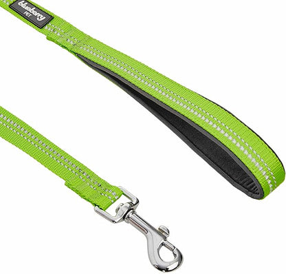 Blueberry Pet 3M Reflective Pastel Color Dog Leash with Soft & Comfortable Handle, 5 ft x 3/4", Green Flash, Medium, Leashes for Dogs