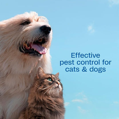 ADAMS Plus Flea & Tick Shampoo with Precor for Dogs, Cats, Puppies & Kittens, Flea Shampoo to Treat Flea Infestations, Kills Ticks, Fleas, Flea Eggs & Lice, Cleans and Conditions Coat, 12 Ounces