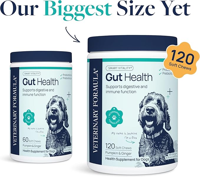 Veterinary Formula Gut Health Supplement for Dogs – Vet-Formulated Probiotic Chews with Digestive Enzymes & Fiber – Smart Vitality Support Digestive Health, Gut Balance & Stool Quality, 120 Soft Chews
