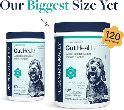 Veterinary Formula Gut Health Supplement for Dogs – Vet-Formulated Probiotic Chews with Digestive Enzymes & Fiber – Smart Vitality Support Digestive Health, Gut Balance & Stool Quality, 120 Soft Chews