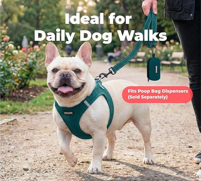 Best Pet Supplies Voyager Reflective Dog Leash or Collar with Neoprene Handle, for Small, Medium, and Large Breed Puppies, Cute and Heavy Duty for Walking, Running and Training - Blue (Leash), L