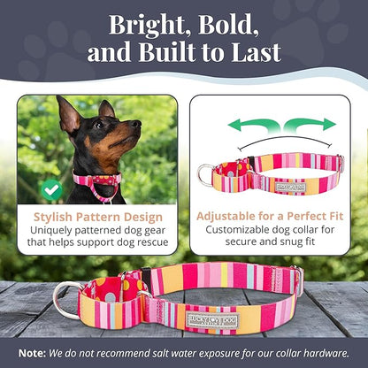 Lucky Love Dog Martingale Dog Collar - Adjustable, No-Slip, Durable, & Soft Webbing Collar for Male and Female Dogs Ideal for Training & Walking - Molly, Medium