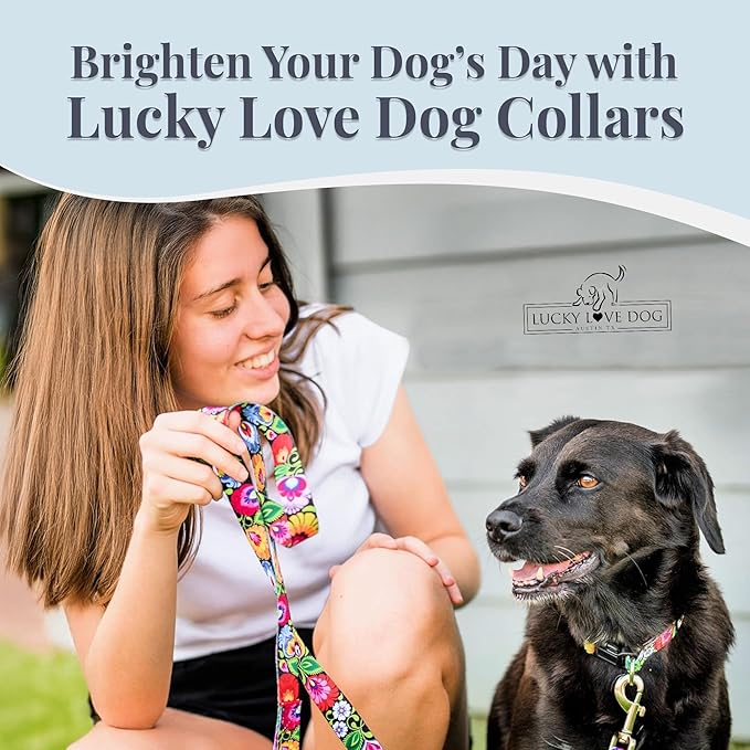 Lucky Love Dog - Easy Click Buckle Dog Collar with Leash Set Combo, Durable & Comfortable for Male & Female Dogs, Pet Collar for Small Dogs, Secure Fit - Blackbird Combo, Small