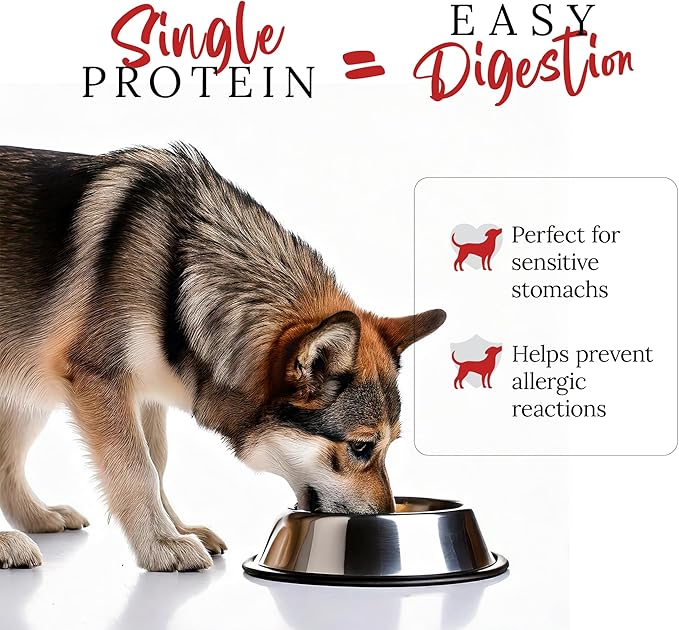 DOG'S LOVE Beef Canned Dog Food Wet, Grain-Free Wet Dog Food - Human-Grade Quality, Single Protein - Rich in Essential Nutrients, Healthy Choice for Better Digestion & Immunity - 6 Cans (14.1 Oz Each)
