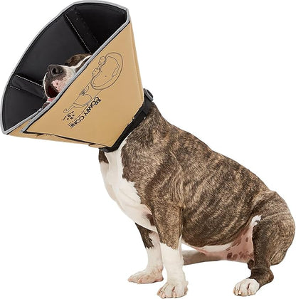All Four Paws Comfy Cone Pet Cone for Dogs, Cats, Medium, Tan - Comfortable Soft Dog Cone Collar Alternative for After Surgery, Wound Care, Spay, Neuter - Dog and Cat Recovery Elizabethan-Collar
