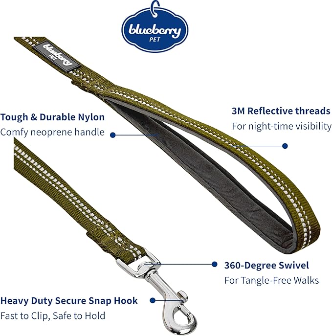 Blueberry Pet 3M Reflective Pastel Color Dog Leash with Soft & Comfortable Handle, 5 ft x 3/4", Olive Green, Medium, Leashes for Dogs