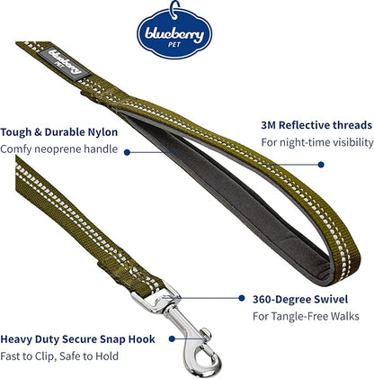 Blueberry Pet 3M Reflective Pastel Color Dog Leash with Soft & Comfortable Handle, 5 ft x 3/4", Olive Green, Medium, Leashes for Dogs