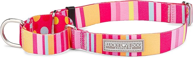 Lucky Love Dog Martingale Dog Collar - Adjustable, No-Slip, Durable, & Soft Webbing Collar for Male and Female Dogs Ideal for Training & Walking - Molly, Small