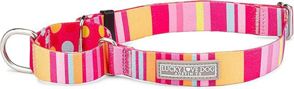 Lucky Love Dog Martingale Dog Collar - Adjustable, No-Slip, Durable, & Soft Webbing Collar for Male and Female Dogs Ideal for Training & Walking - Molly, Small