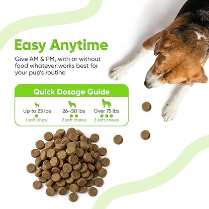 SNIFF N CHOMP Dog Allergy Chews, Chicken Flavor, Probiotics for Dogs with Quercetin Omega 3 Zinc, Seasonal Allergy Relief, Immune Support Soft Chews, Probióticos para Perros | 90 Soft Chews