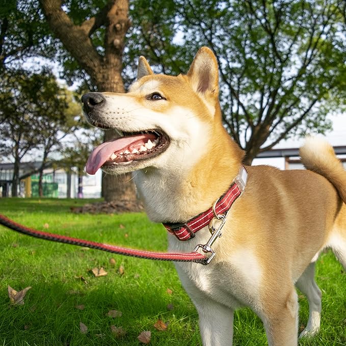 Reflective Dog Collar and Leash Set for Large Dogs, 4 FT/5 FT Dog Leash, Handle with an O-ring, Adjustable Mesh Padded Large Dog Collar with Quick Release Buckle-Red