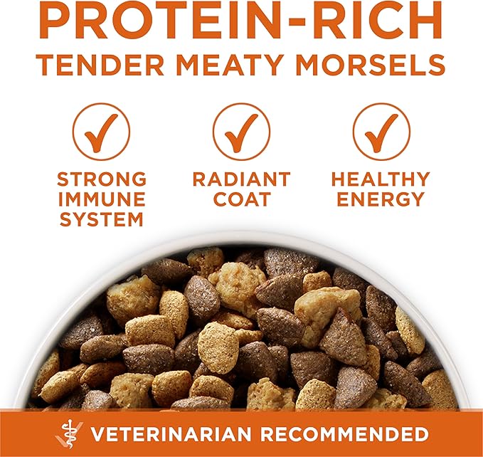 Purina ONE Plus Healthy Weight High-Protein Dog Food Dry Formula - 8 lb. Bag