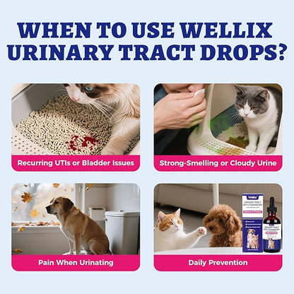 4oz Wellix Natural Cat & Dog UTI Treatment Drops,Cat & Dog Urinary Tract Infection Treatment - Cranberry & D-Mannose for Dogs & Cats - Kidney Health Supplement