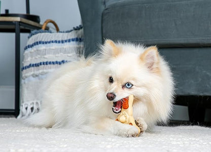 Chew ‘n Clean Chew Toy and Treat in One Chicken Flavored Tri-Point Dog Toy, Small