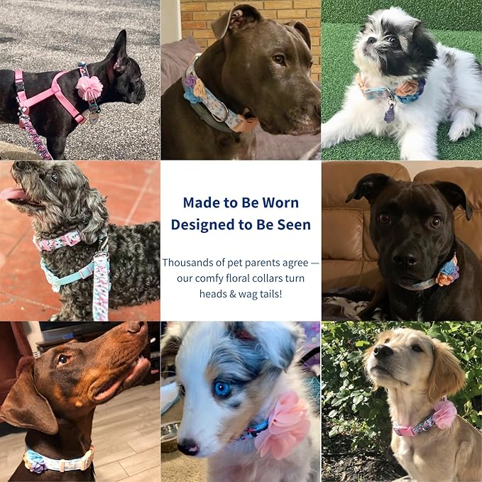 Blueberry Pet Made Well Cute Floral Print Adjustable Dog Collar in Light Blue with Pink Artificial Silk Flower, Large, Neck 18"-26"