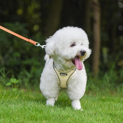 AIITLE Escape Proof Dog Harness - Step in Adjustable Dog Harness No Choke Over with Breathable Mesh and Quick-Release Buckle for All Weather- Outdoor Walking, Training for Medium Dogs Beige XL