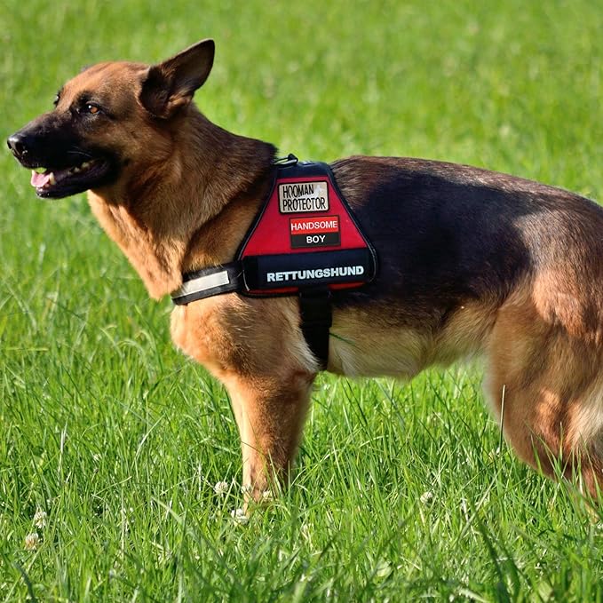 Chunyin 12 Pieces Dog Patches for Service Dog Vest Removable Tactical Harness Service Puppy Embroidered in Training Animal Working Puppy Patch for Vest Harnesses Collars Leashes