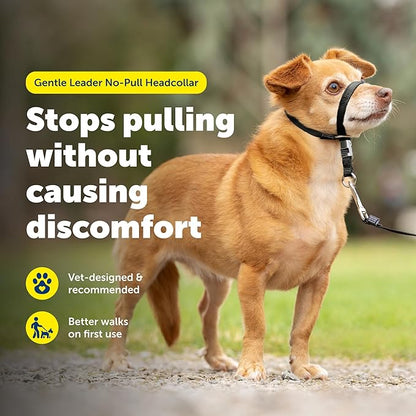 PetSafe Gentle Leader Headcollar No-Pull Dog Collar - Helps Improve Walks - Durable Nylon Construction - Padded Nose Loop - Adjustable Fit - Comfort Walking Halter - Petite, Black