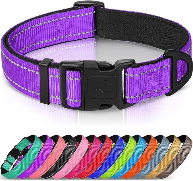 Joytale Reflective Dog Collar, Soft Neoprene Padded, Metal D-Ring, Nylon Pet Collar Adjustable for Extra Large Dogs, Purple, XL