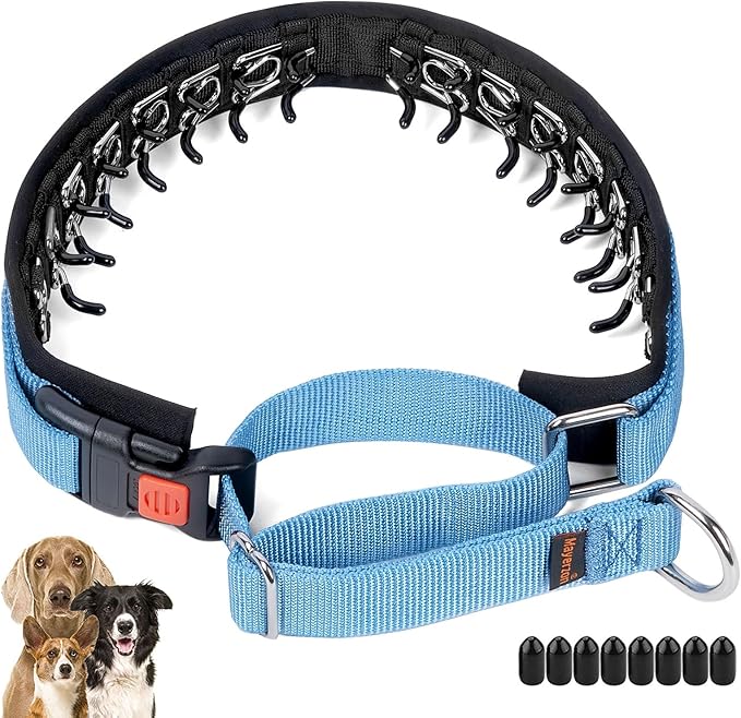 Mayerzon No Pull Dog Collar, Patented Martingale Collar for Small Medium Large Dogs with Buckle and Heavy Duty Nylon for Walking Training Hunting, Safe and Easy to Use(XL, Blue)