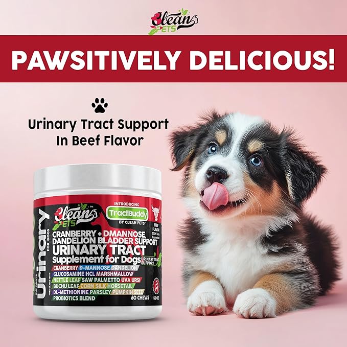 Clean Pets Cranberry for Dogs Urinary Tract Support | D-Mannose UTI Bladder Stones Dandelion Glucosamine HCL Marshmallow Nettle Leaf Saw Palmetto Uva Ursi Buchu Horsetail Methionine Parsley Supplement